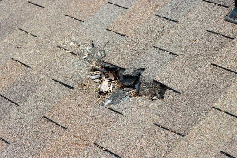 Shingles Replacement in Cherokee County, GA