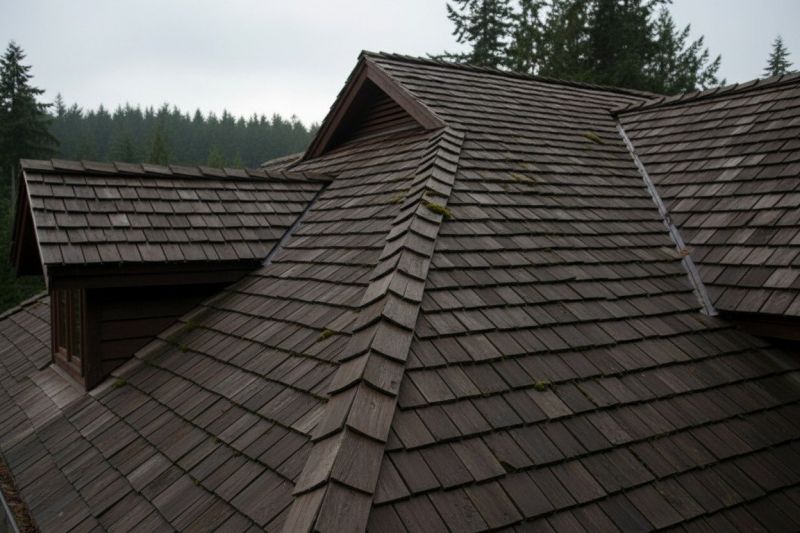 Wood Shake Roof Replacement in Duluth, GA